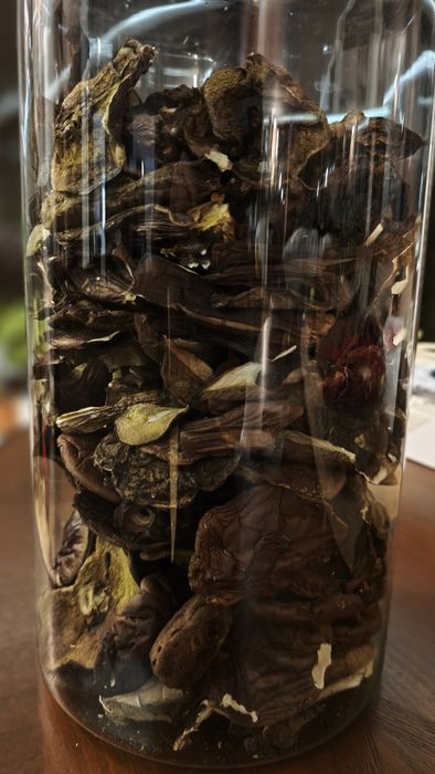 Podgrzybek i prawdziwek suszony mix