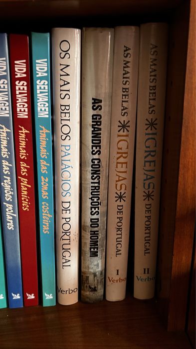 Vendo livros de IGREJAS, CONSTRUÇÕES DO HOMEM e PALÁCIOS DE PORTUGAL