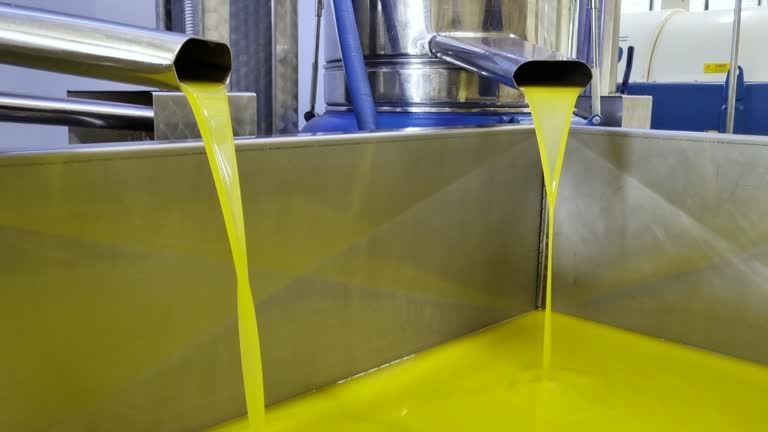 Azeite Tradicional Português – Direto do Produtor