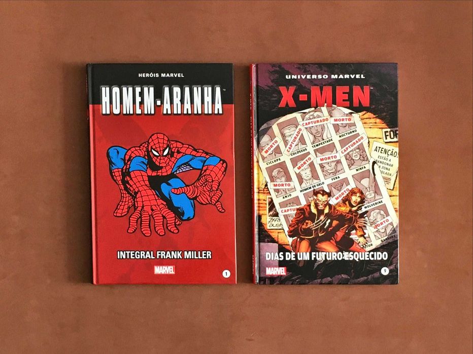 LIVRO Comics DC Marvel Batman Sandman Spider-man Homem Aranha X-men