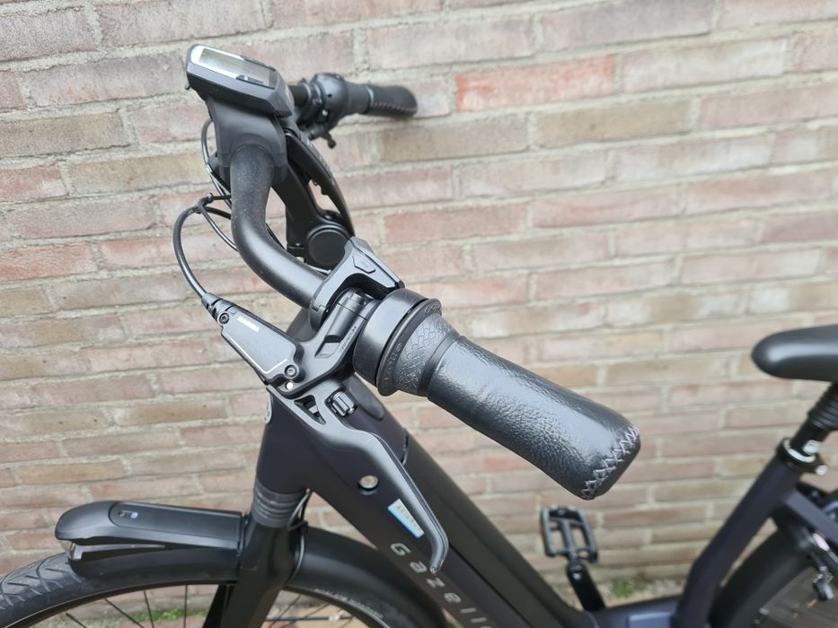 Rower Elektryczny Gazelle Avignon C8 Bosch Active Line Plus 49 53 57cm