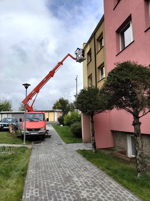 Podnośnik koszowy zwyżka wycinka 100 zł