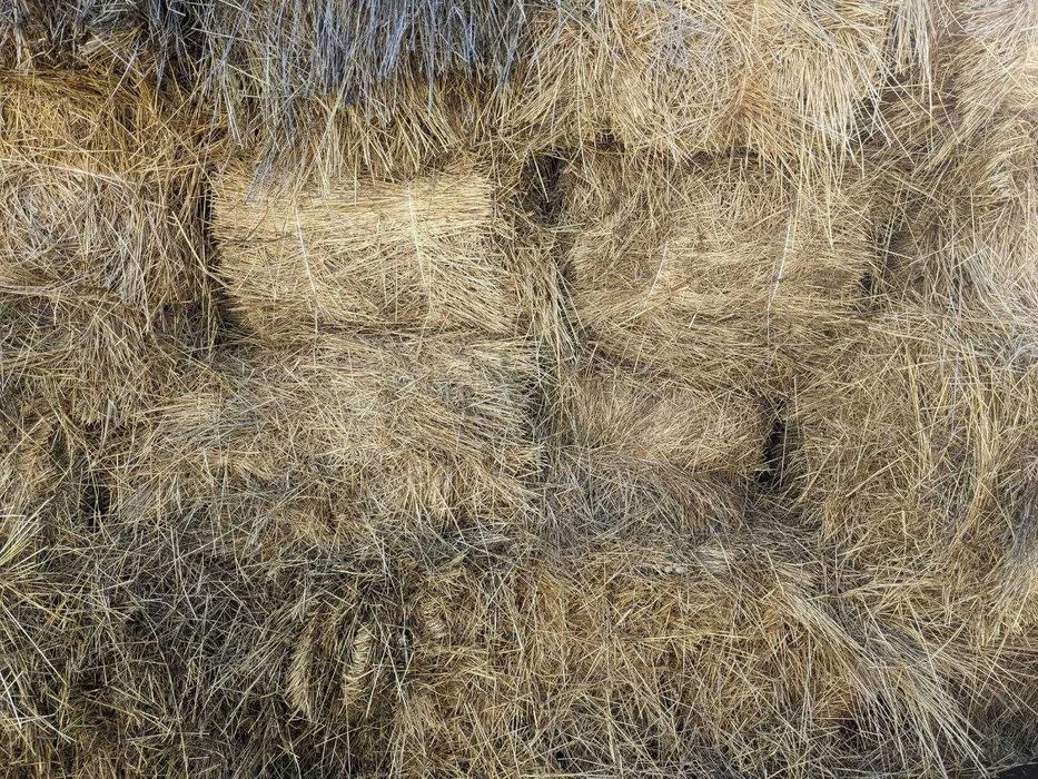 Продам сіно в тюках