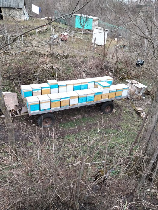 Мобільна пасіка для продуктивного бджільництва