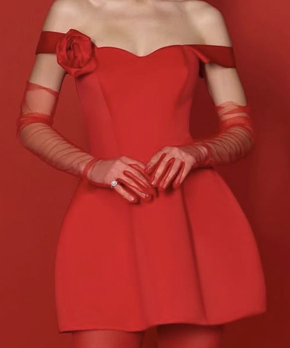 Сукня twnspan albon annabraim zara swanlaboutique