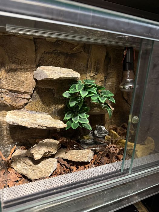 Terrarium 40x25x30 cm z wyposażeniem, tłem i oświetleniem