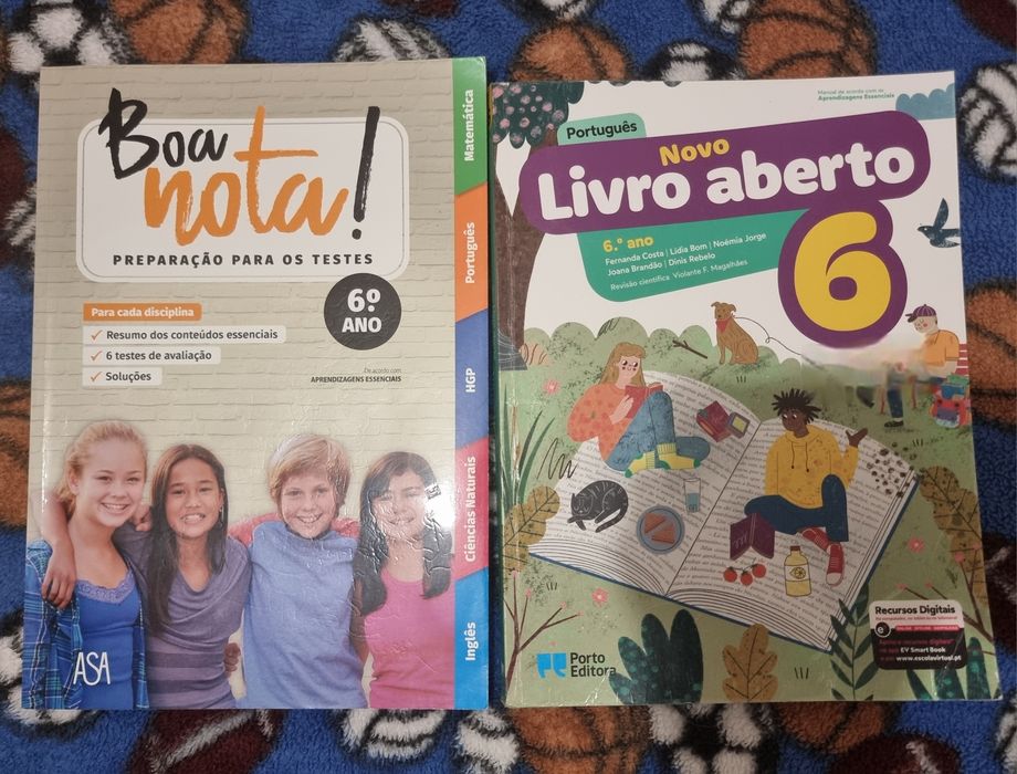 Livros escolares do 6°ano
