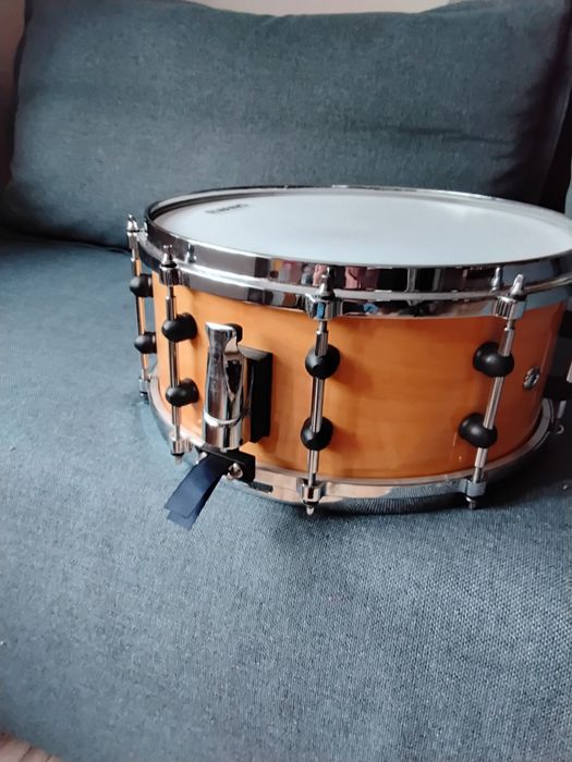 Werbel RMV Bapeva 14x6,5" | Evans | Aquarian | Pearl + case