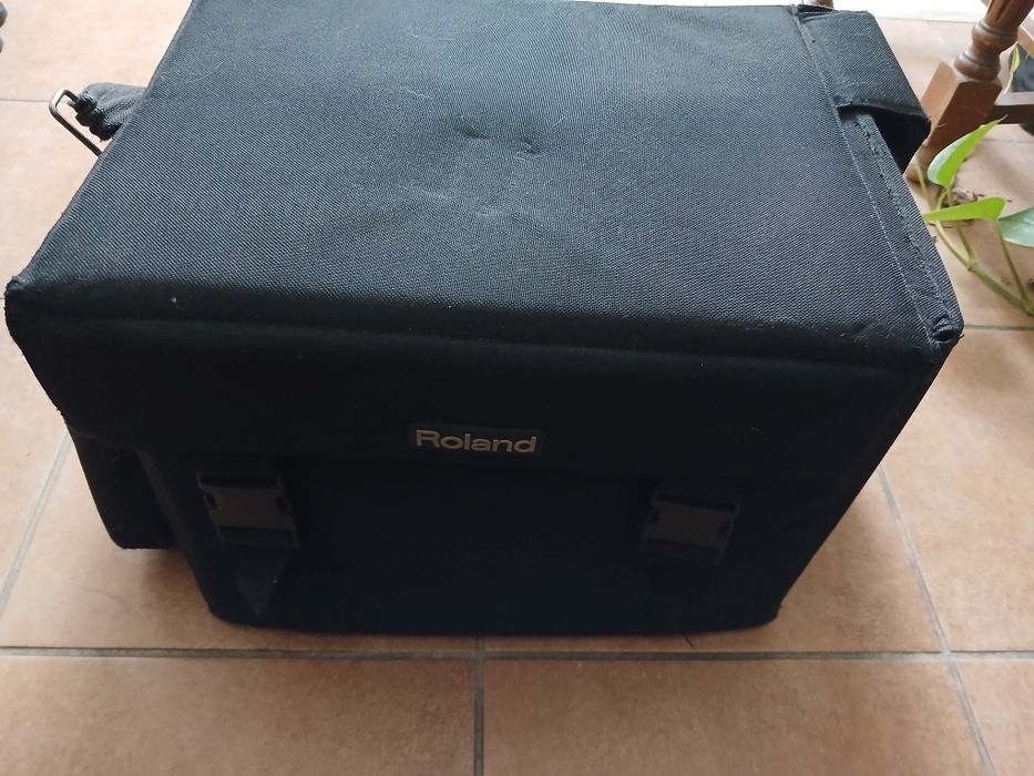 Amplificador Roland AC-60