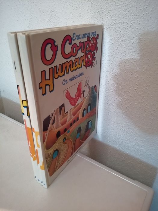 Coleções livros juvenis (várias)