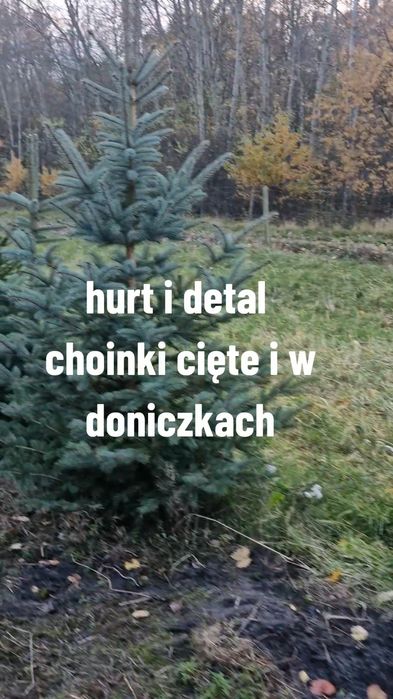Choinka  hurt I detal