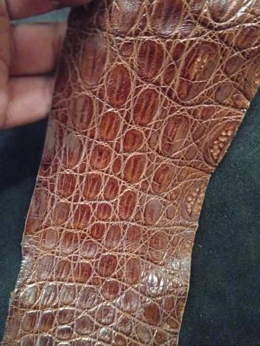Куски кожи ,, Croco "ЭКЗОТИЧЕСКАЯ КОЖА