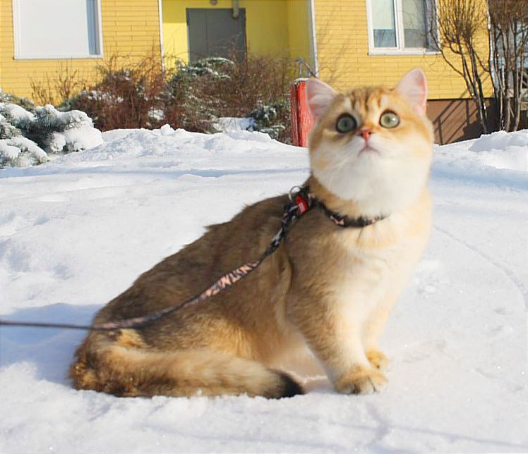 Шикарний хлопчик чекає найкращу маму