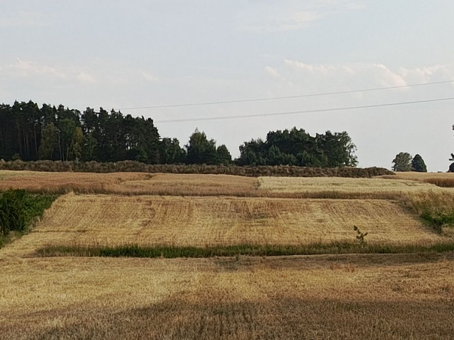 Działka budowlana/rolna