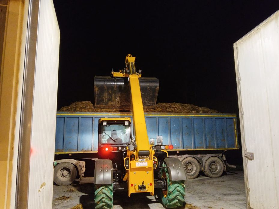 Obornik indyczy 2,5 raza mocniejszy niż kurzak