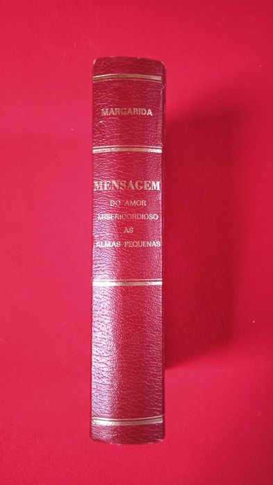 O Diario de Margarida - 1 Edição - Mensagem