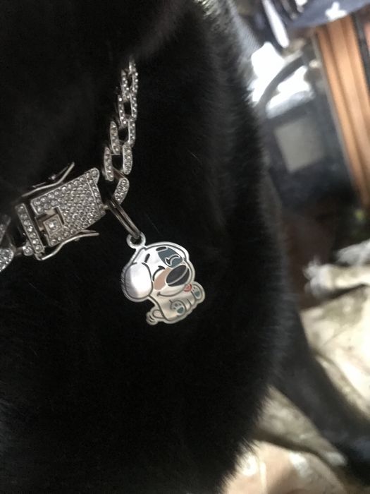 Адресник медальон для собак