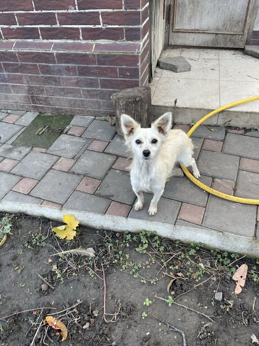 Чудом выжившая девочка