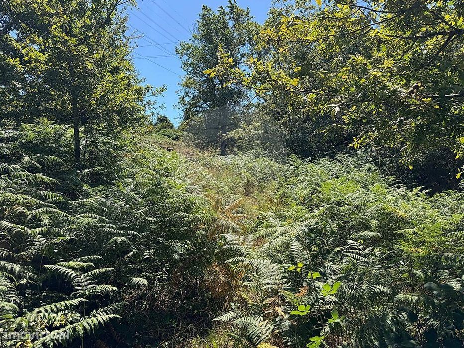 Terreno  para venda