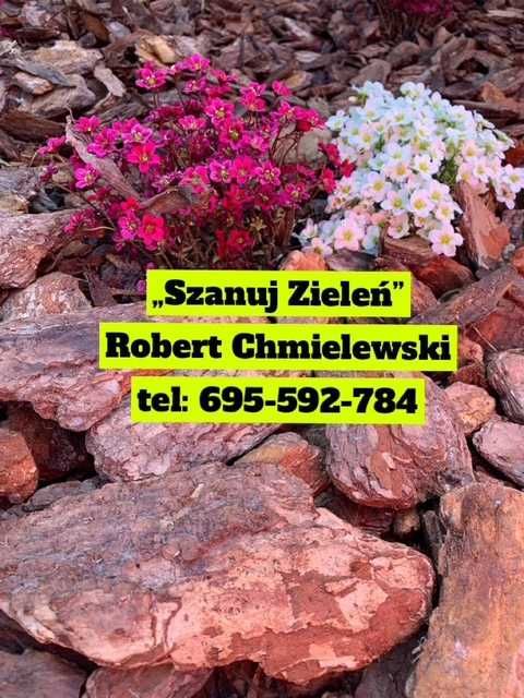 Kora Sosnowa Sortowana ,Wrocław okolice z dostawą