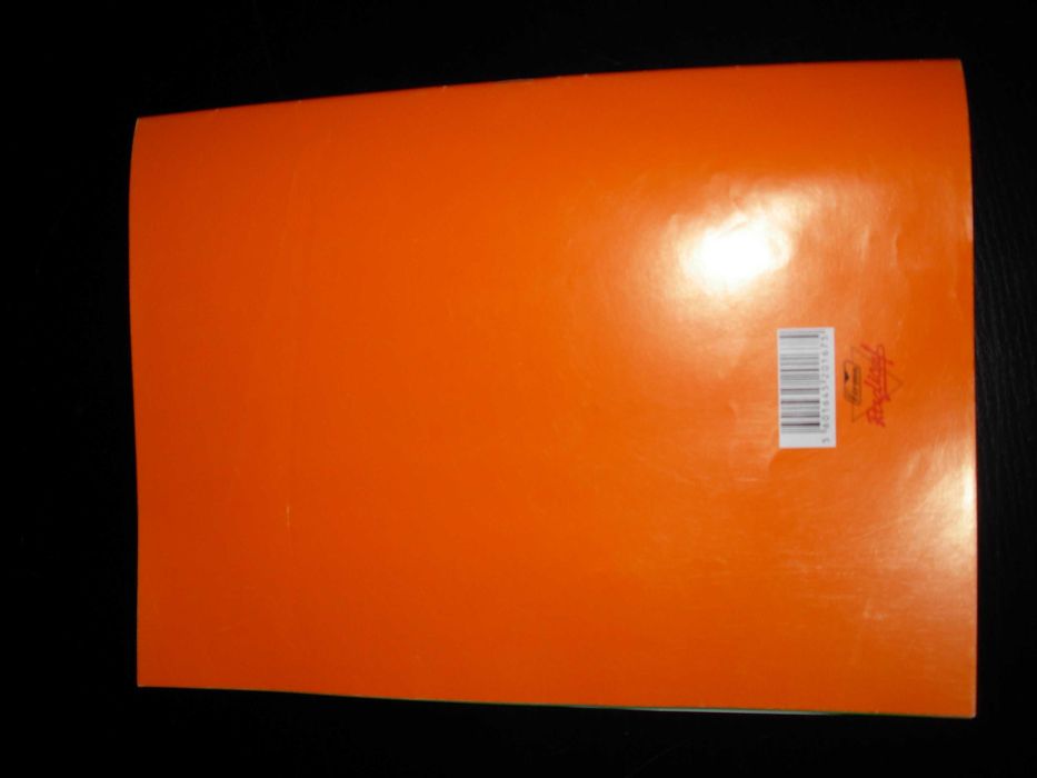 Caderno de trabalhos manuais - Papel de lustre para recorte - NOVO