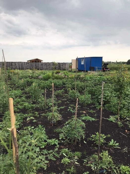 Продам 5 сот.біля лісу, річки, озера, с.Бобриця