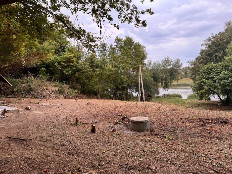 розчистка територій, чистка участків, зрізання дерев, покос трави