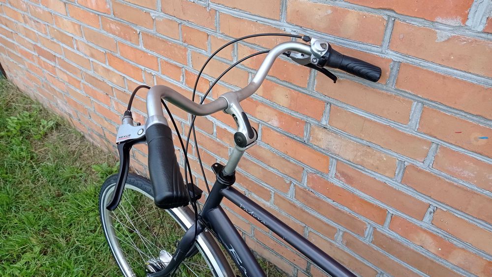 Rower męski holenderski Batavus Padova NEXUS 7