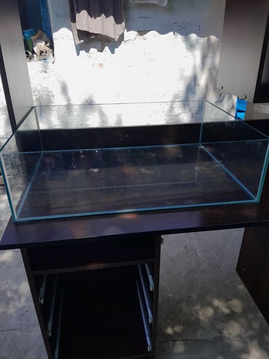 Террариум для пресмыкающихся