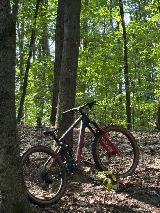 Ghost riot EN universal