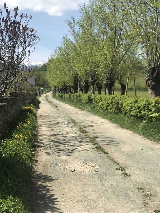 Domek ,kominek ,taras widok na Śnieżkę, Karpacz apart 2-7 o.