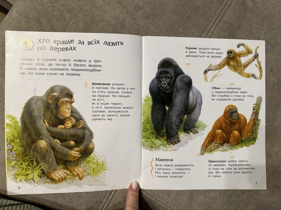 Дитячі книги- Абетка в казках, тварини