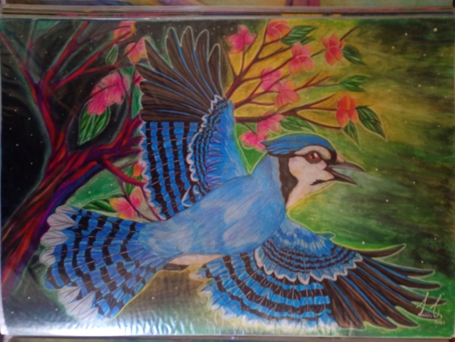 Desenhos a lápis de cor A2   40/60 cm