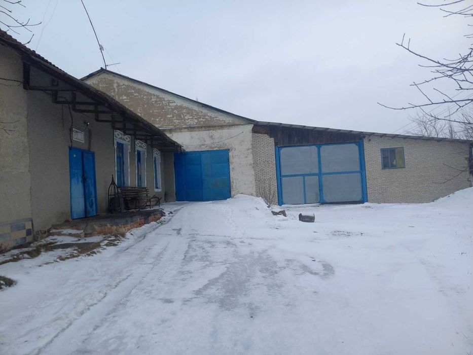 Майновий діючий комплекс.