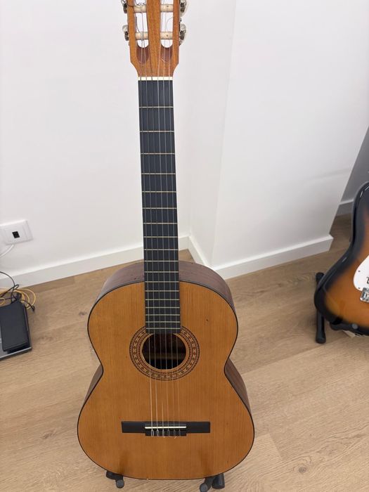 Guitarra Acústica para começar!
