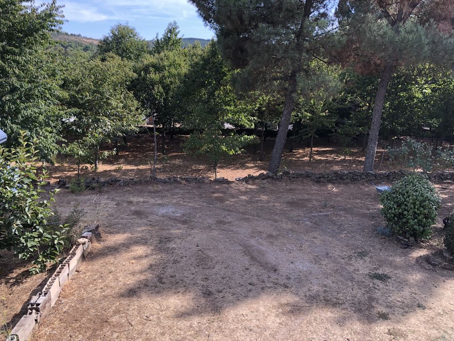 Herdade de 4000m2 perto da Guarda