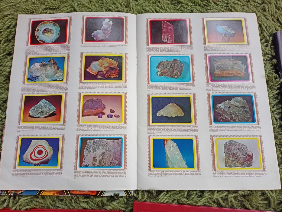 Cadernetas de Cromos Completas