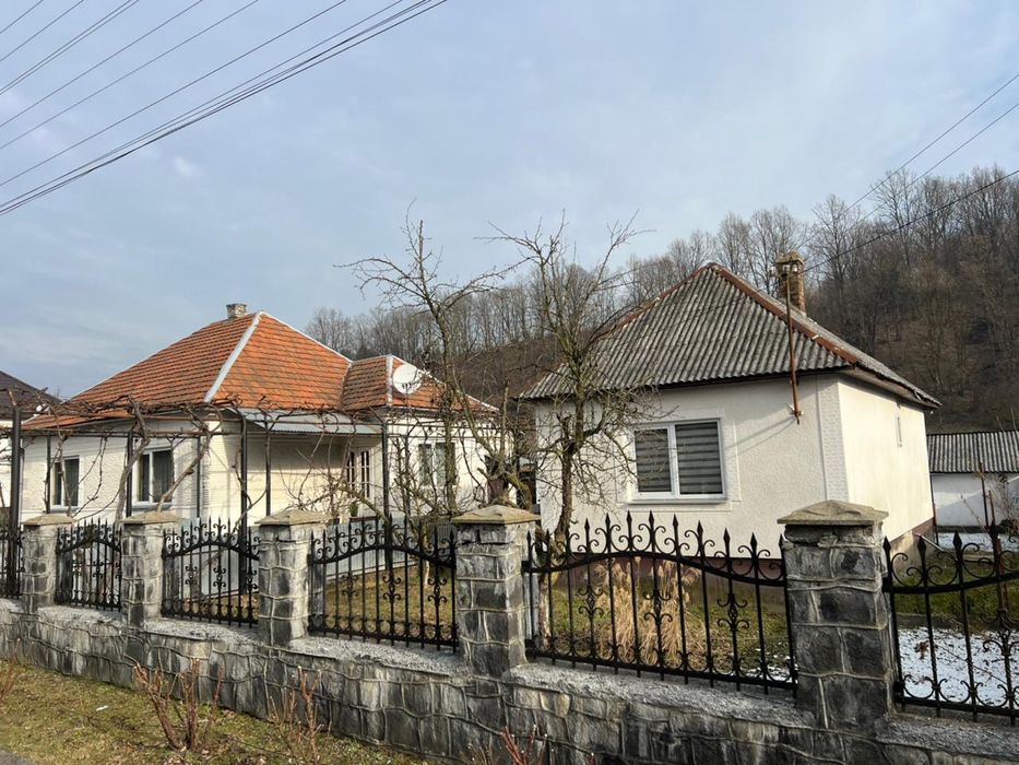 Продам будинок з ділянкою 38 соток