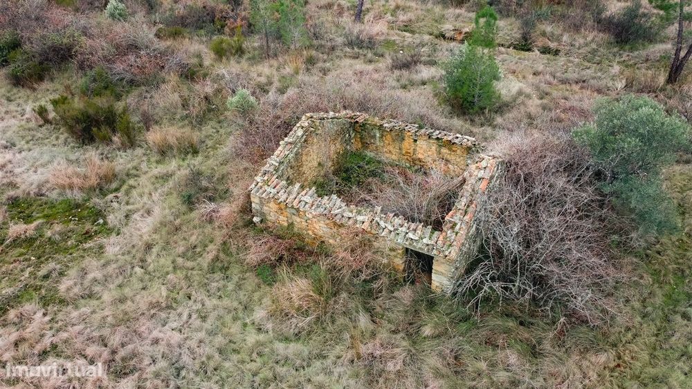 Quinta T0 Venda em Sarzedas,Castelo Branco