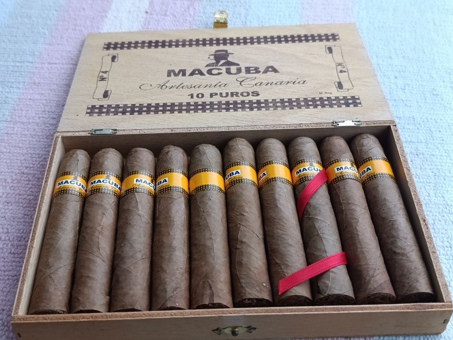 Caixa com de charutos Macuba