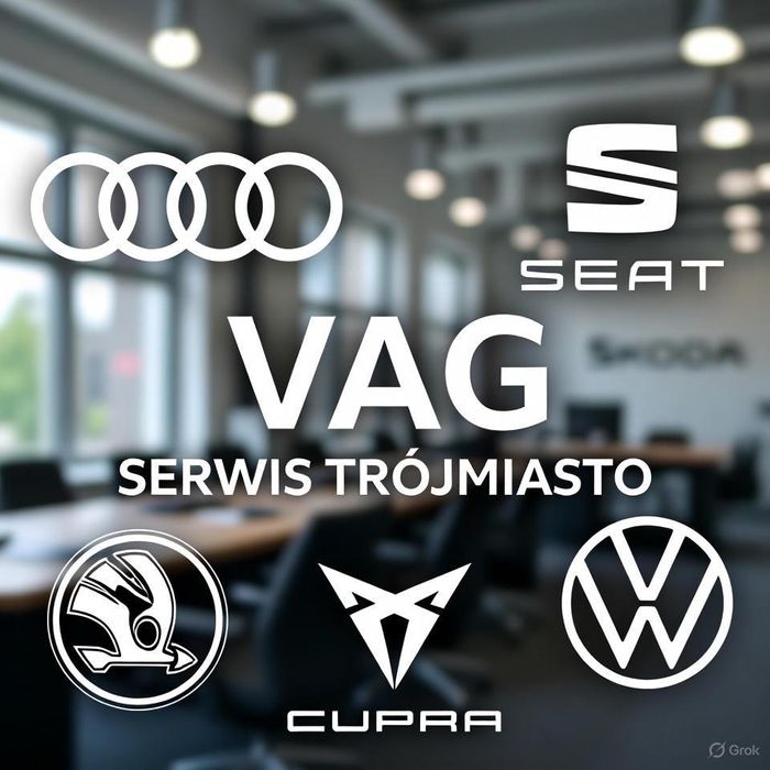 Naprawa samochodów grupy VW