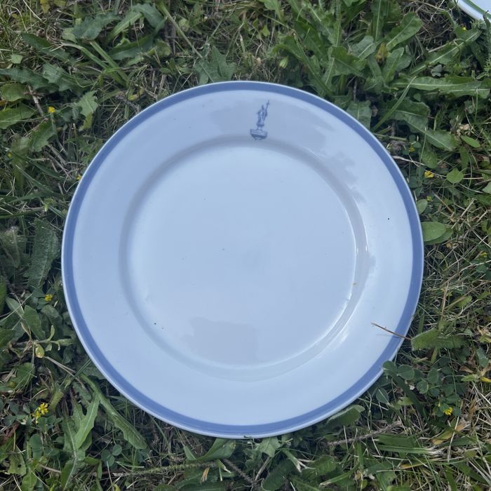 Talerz Kolumna Zygmunta