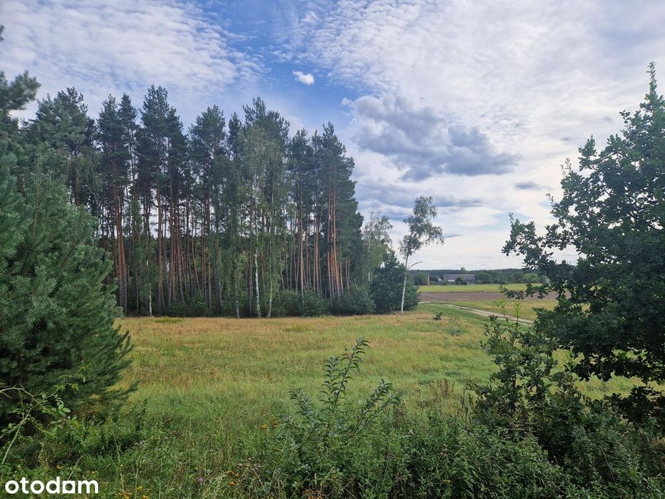 Chorzępowo działka budowlana 2295 m2 JEZIORO pod lasem MPZP Sieraków