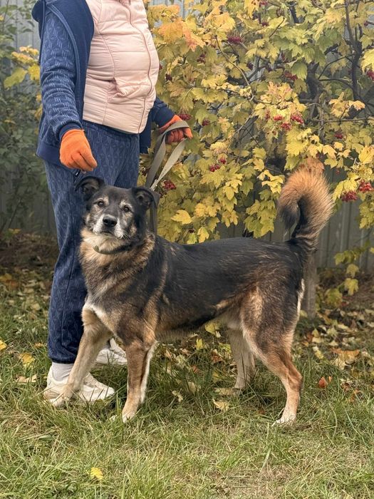 Хлопчик, віддаємо