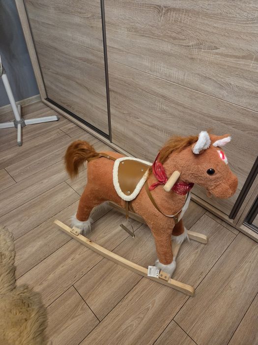 Konik, konik na biegunach, koń na biegunach, koń