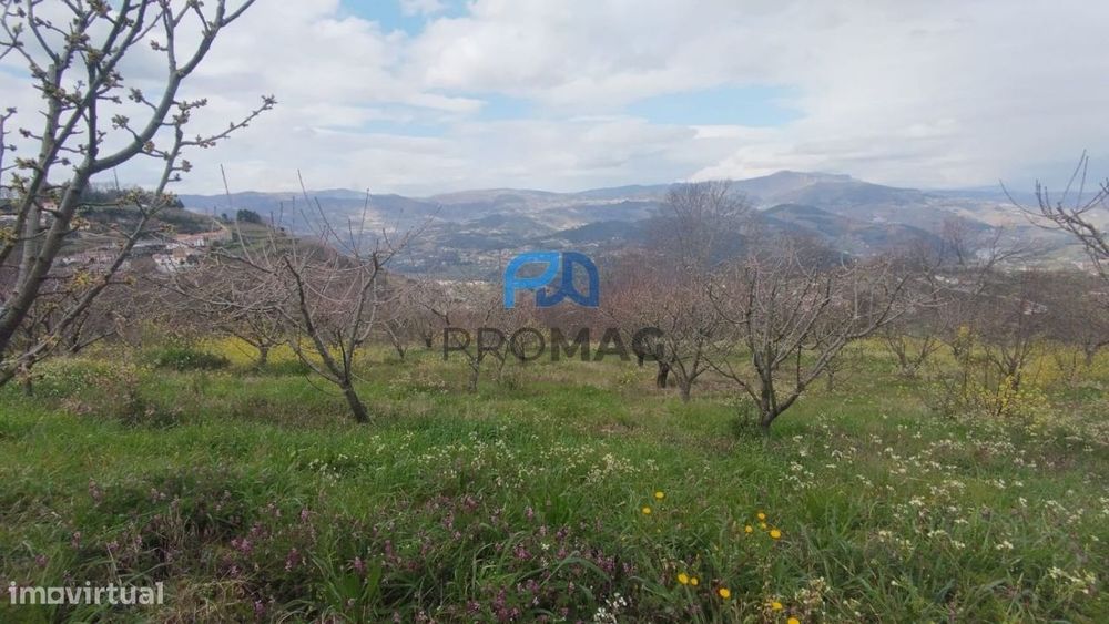 Terreno Urbanizável de 7959 m² com Armazém