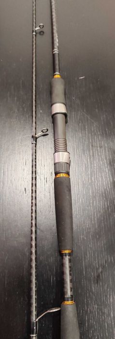 Cana Daiwa legalis seabass 2.59mt 5-21gr