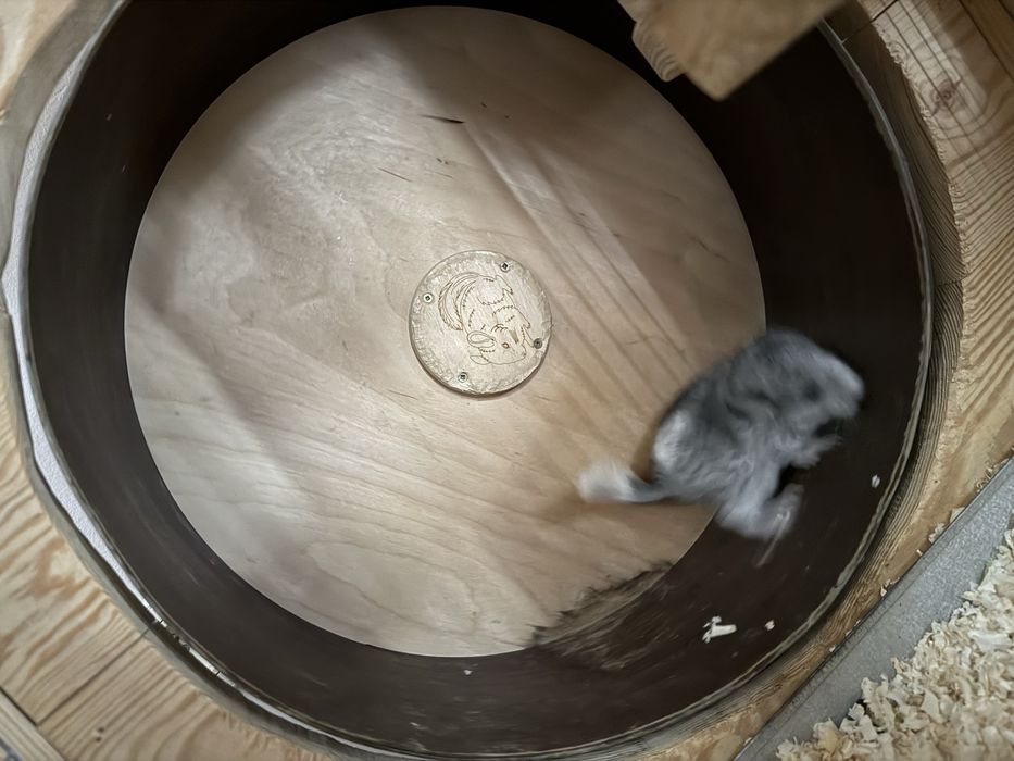 Woliera dla szynszyli - 210 cm - sosna