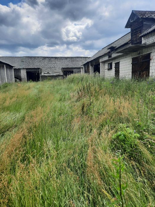 Siedlisko Hutków k. Krasnobrodu,  5,734 ha, dom + budynki gospodarcze