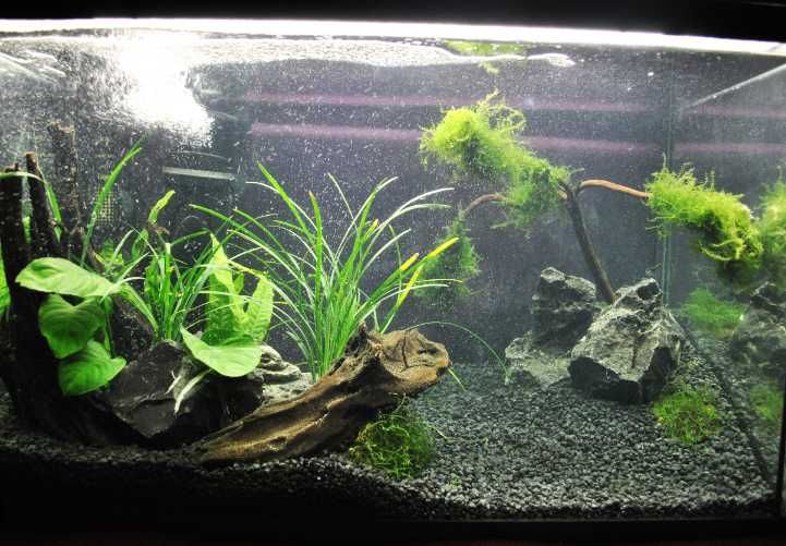 Грунт для акваріума чорний базальт . Фракція 1-3 мм. Вага 5 кг.